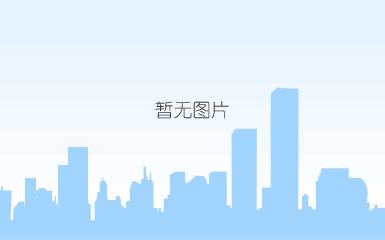 蚊子标本。 赵力 摄 蚊子标本。 赵力 摄